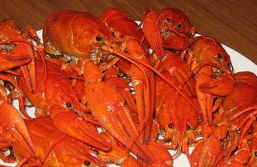 Boiled Crayfish 370 (photo credit: wikicommons)