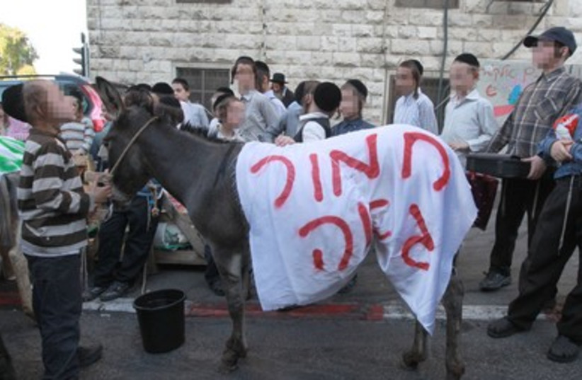 Haredi children gather around donkey for counter protest