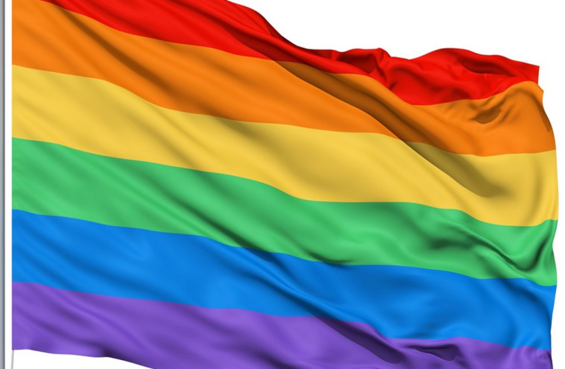 Gay flag (photo credit: INGIMAGE / ASAP)