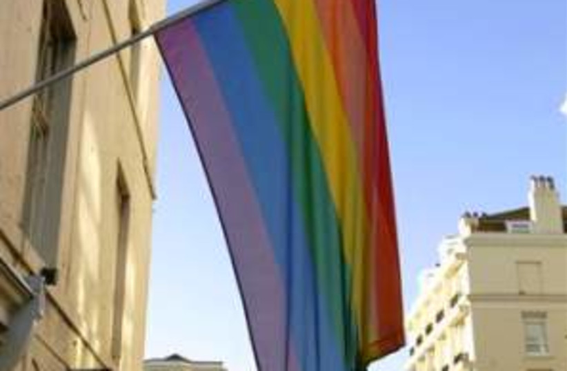 gay flag 298 ap (photo credit: AP)
