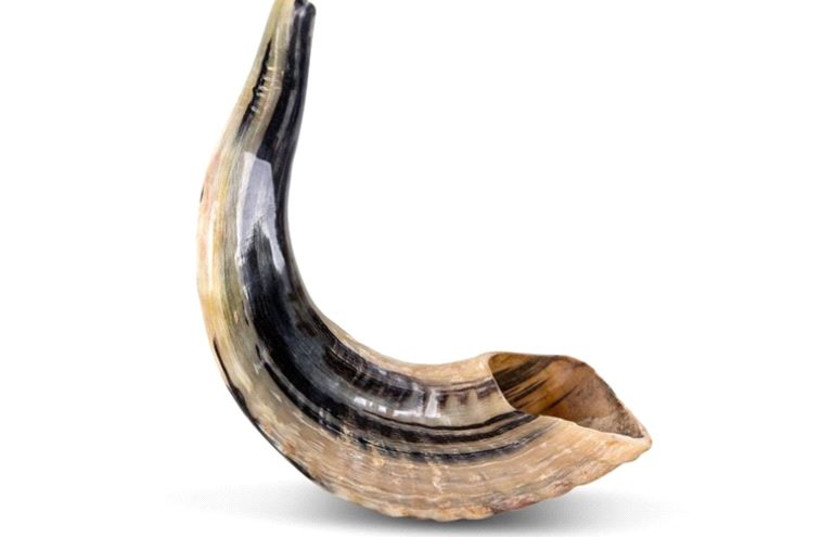 The Essential New Year Guide to the Shofar
