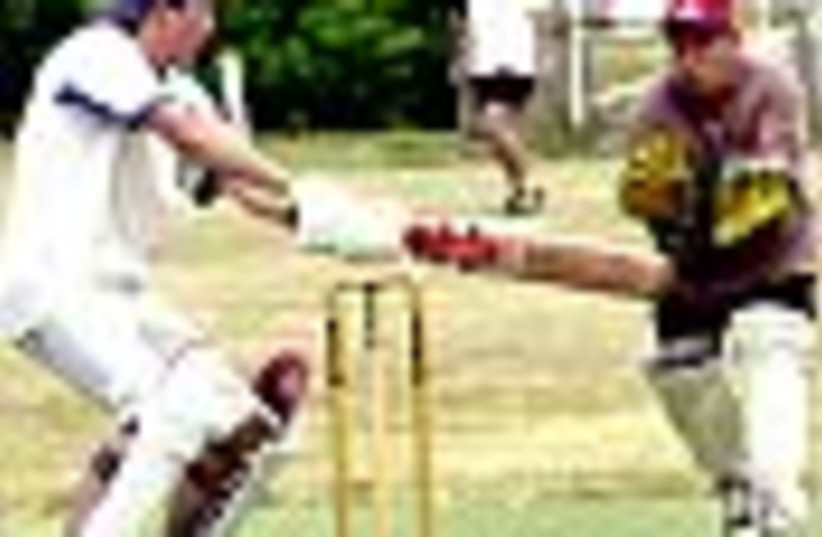 cricket 88 (photo credit: )
