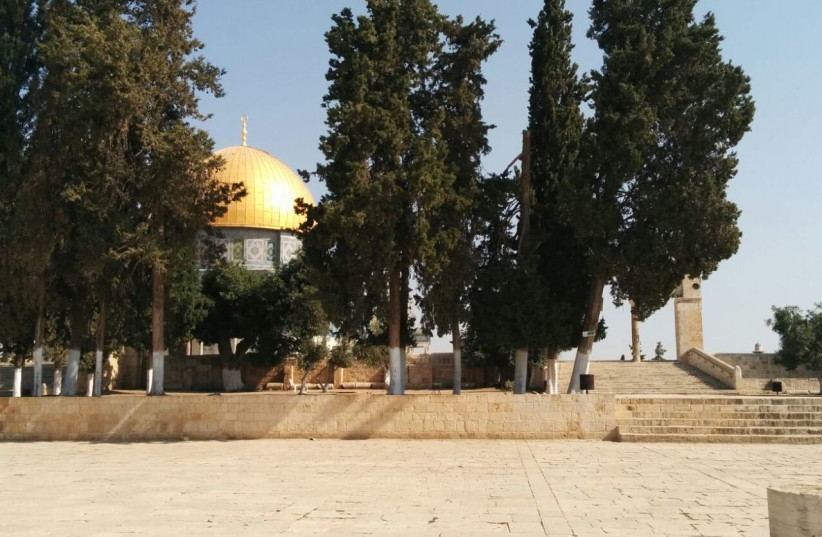Temple Mount (photo credit: JOINT COUNCIL OF TEMPLE ORGANIZATIONS)