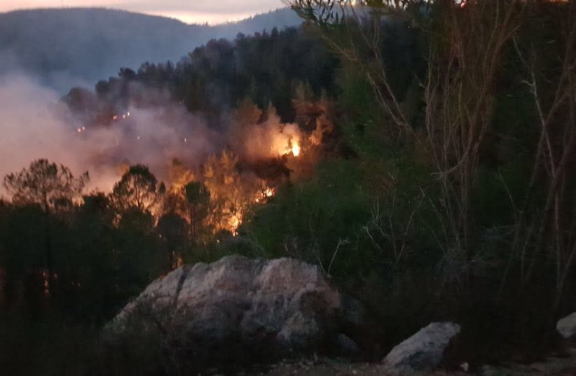 Wildfires in the Jerusalem Hills (photo credit: KKL-JNF)