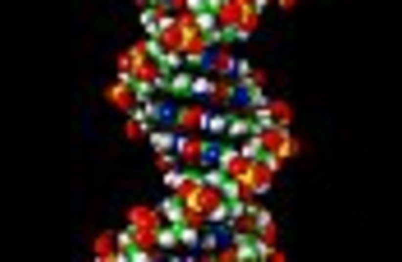 genes biology 88 (photo credit: )