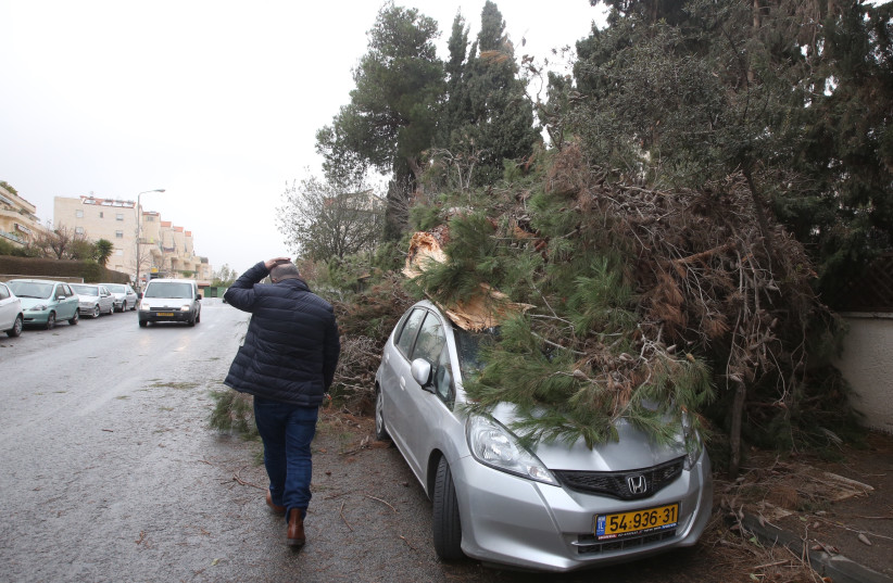A broken tree rests on top of a car in the Arnona neighborhood of Jerusalem, January 5, 2018 (photo credit: MARC ISRAEL SELLEM)