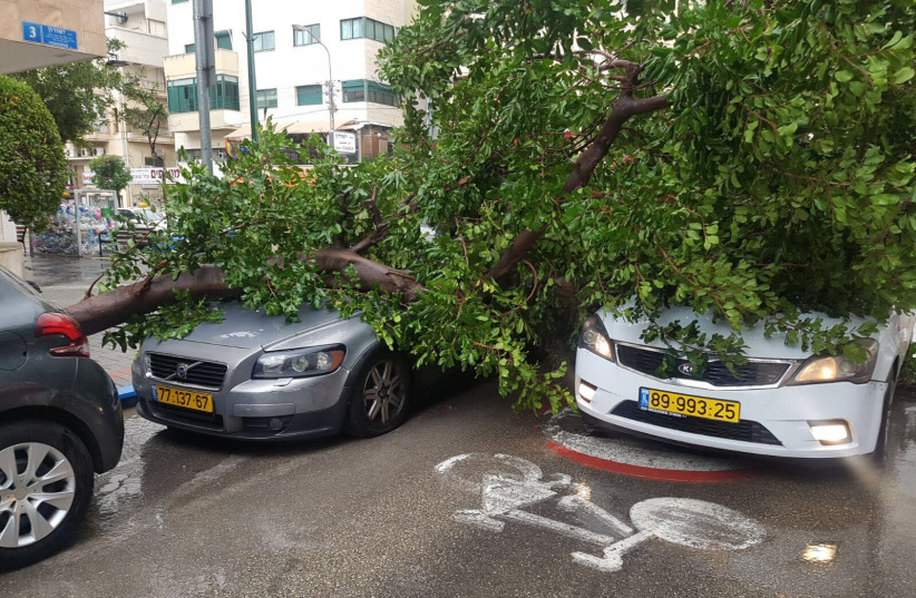 A fallen tree rests on two cars in Tel Aviv’s Ben-Yehuda Street Friday. (photo credit: POLICE SPOKESPERSON'S UNIT)