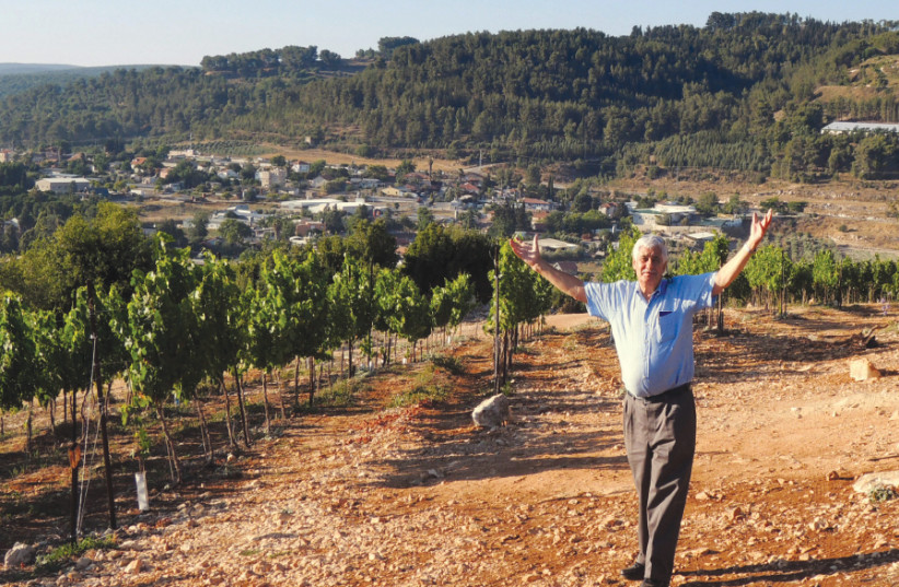 JACQUES CAPSOUTO in his Western Galilee vineyard (photo credit: Courtesy)