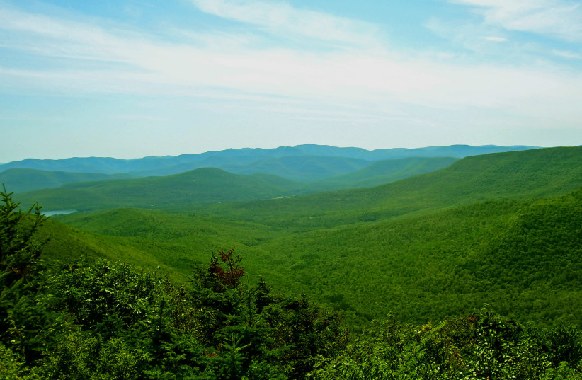 Central Catskills Mountains from Twin south summit