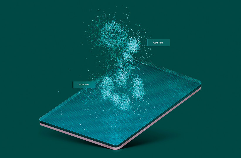 Tel Aviv startup Immunai aim to map the immune system