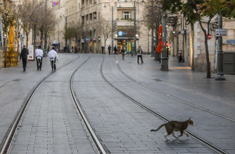 A cat is seen walking across the Jaffa Street light rail tracks in Jerusalem amid the tightened coronavirus lockdown. (credit: MARC ISRAEL SELLEM/THE JERUSALEM POST)