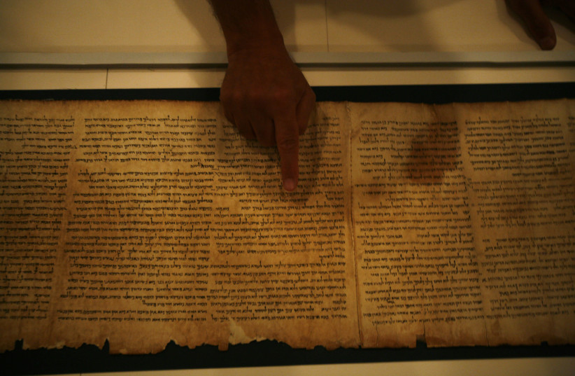 Adolfo Roitman, curator of the Dead Sea Scrolls, points at the original Isaiah Scroll, one of the Dead Sea Scrolls, inside a secured climate-controlled room in the Shrine of the Book at the Israel Museum in Jerusalem September 26, 2011. (credit: BAZ RATNER/REUTERS)