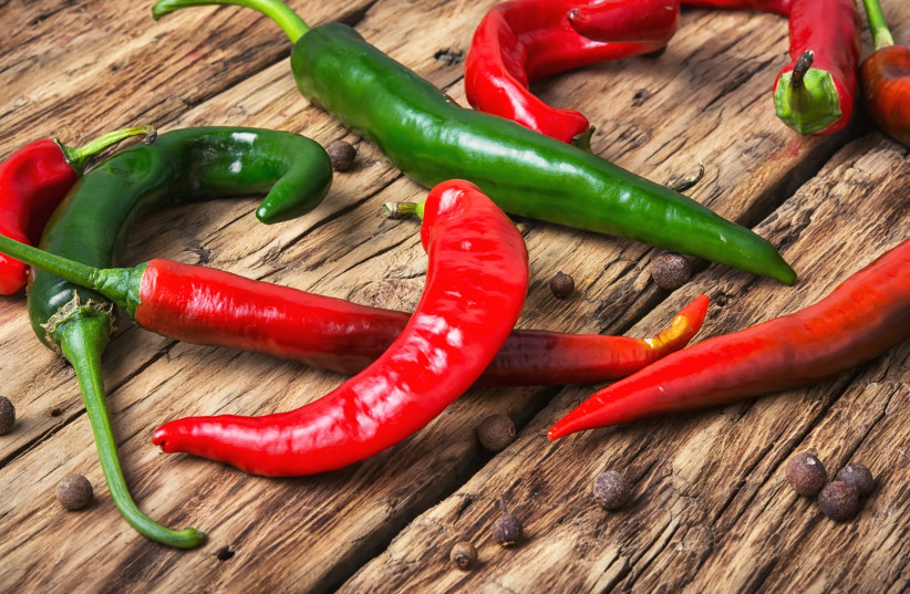  Hot peppers (photo credit: INGIMAGE)