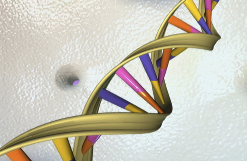 A DNA double helix is seen in an undated artist's illustration released by the National Human Genome Research Institute to Reuters on May 15, 2012. (credit: REUTERS/NATIONAL HUMAN GENOME RESEARCH INSTITUTE/HANDOUT)