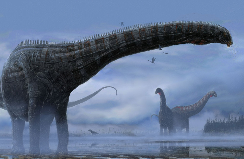  A handout illustration shows a sauropod dinosaur that lived 150 million years ago. (credit: Courtesy of Woodruff et al. (2022) and Corbin Rainbolt/Handout via REUTERS)
