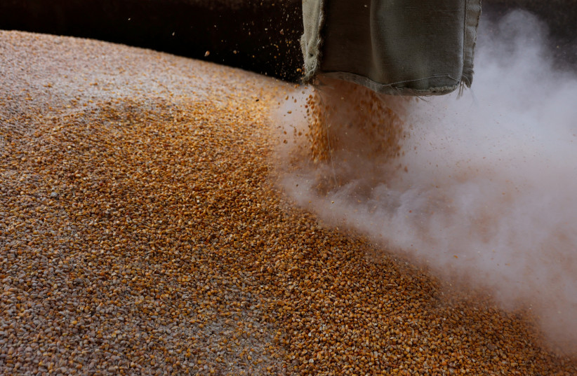 Grain is loaded on a truck at the Mlybor flour mill facility in Chernihiv region, Ukraine, May 24, 2022