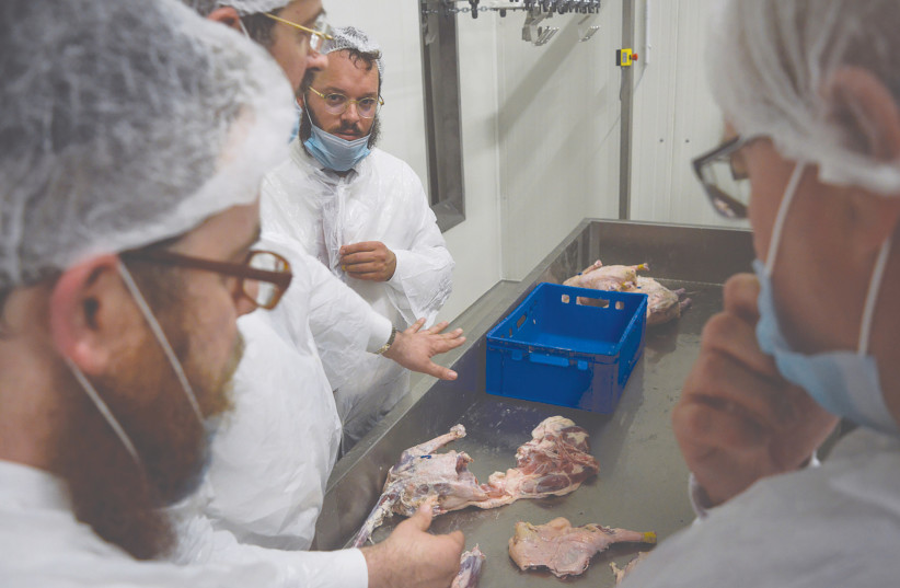  RABBIS EXAMINE the production line at Quality Poultry KFT in Csengele, Hungary.  (credit: ZSOLT DEMECS)