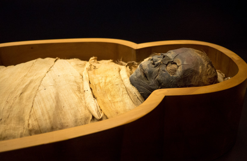 Egyptian mummy. (photo credit: CREATIVE COMMONS)