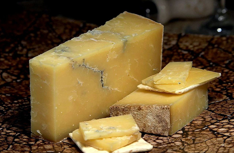 Montgomery's cheddar cheese (photo credit: JON SULLIVAN/PUBLIC DOMAIN/VIA WIKIMEDIA COMMONS)