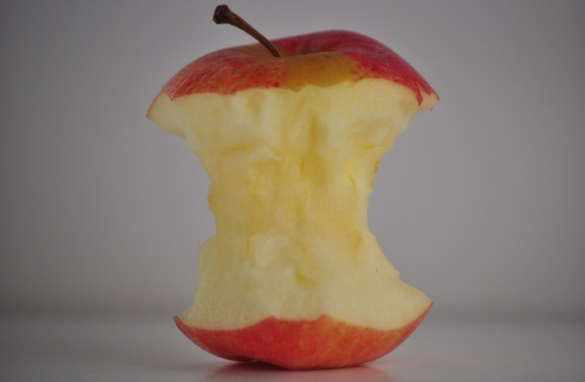  An apple core. (credit: CREATIVE COMMONS)