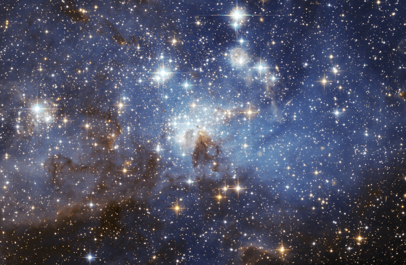 Stars in the night sky.