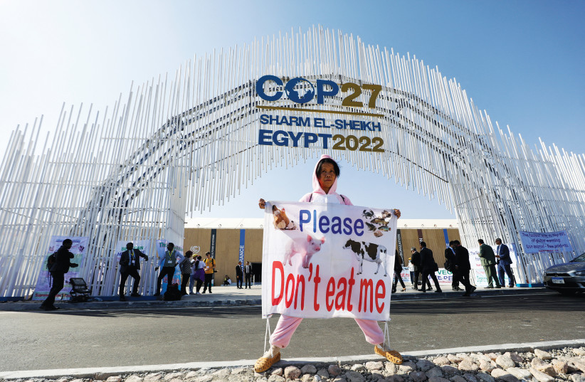 AN ACTIVIST demonstrates at the entrance of the Sharm e-Sheikh International Convention Center during the COP27 climate summit on Monday. (credit: MOHAMED ABD EL GHANY/REUTERS)
