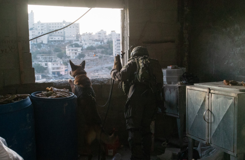 An IDF security officer and military canine look out of a window during Operation Break the Wave 2022.  (credit: IDF SPOKESPERSON'S UNIT)