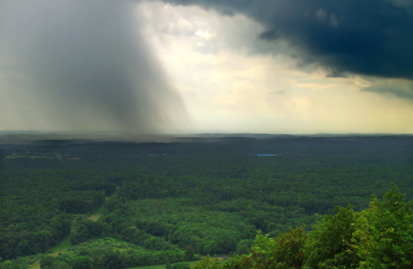  storm brewing over a forest (credit: FLICKR)