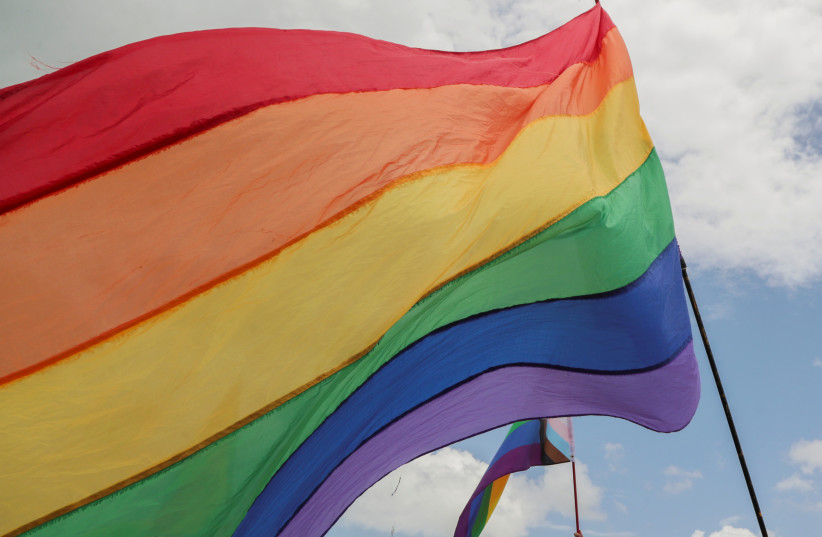 Pride flags (credit: REUTERS/RICARDO ROJAS)