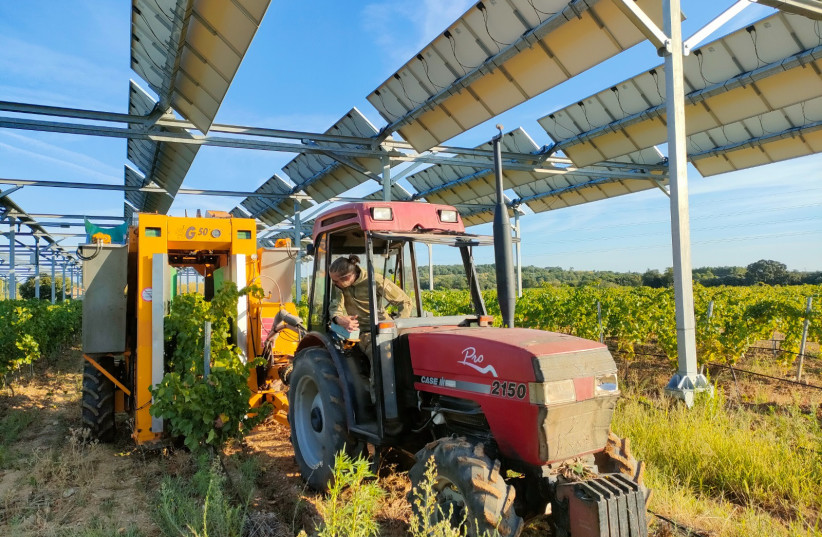  Sun'Agri agrovoltaic project in France. (photo credit: Sun'Agri, France)
