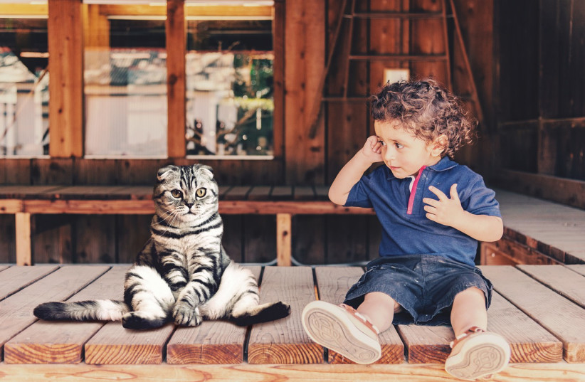  Illustrative image of a child with a cat. (photo credit: PIXABAY)