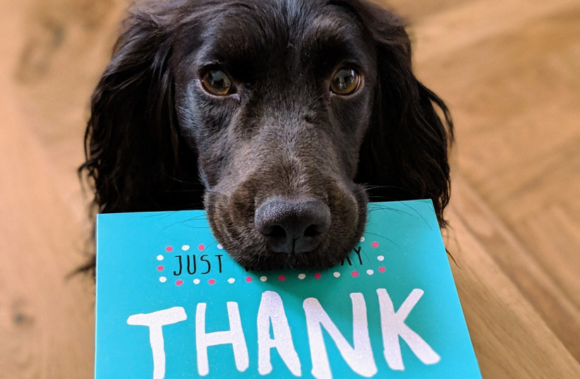  SAY THANK you for even the smallest things.  (photo credit: Howie R/Unsplash)