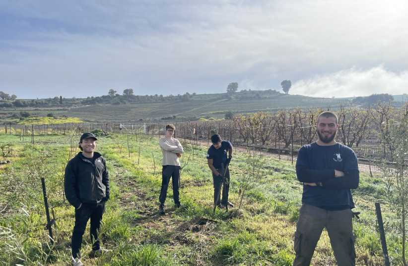  WORKING THE field up North: (L to R) Ori, Amit, Itamar and the writer. (photo credit: Troy Fritzhand)