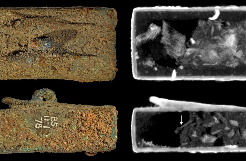  Animal coffin EA27584, surmounted by two lizard figures (top and side view). Neutron imaging shows textile wrappings and an 8mm long bone (arrow). (credit: The Trustees of the British Museum and O’Flynn et al.)
