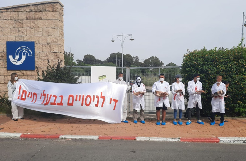  Activists protest against animal testing in Israel ahead of World Day for Laboratory Animals, April 23, 2023 (photo credit: Freedom4Animals)