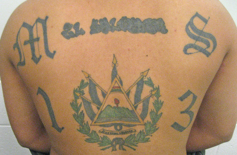  A man is seen with MS-13 gang tattoos in this US Immigration and Customs Enforcement photo. (credit: Wikimedia Commons)