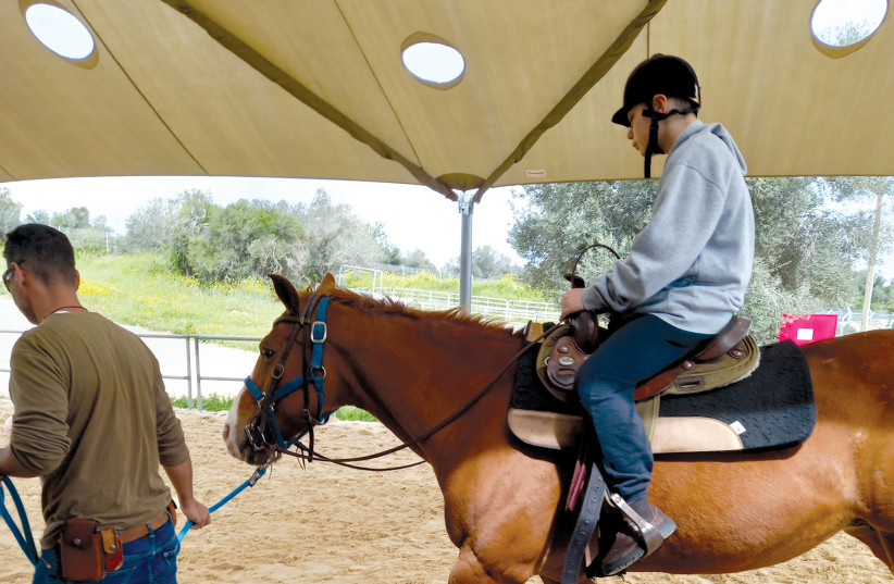  Confidence and balance are improved when riding on horseback (credit: CARMEL FARM)