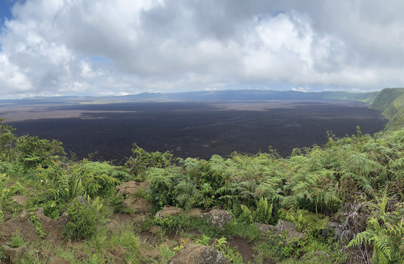  ISABELLA ISLAND, the Galapagos (this spread): Sierra Negra volcano.  (photo credit: BRIAN BLUM)