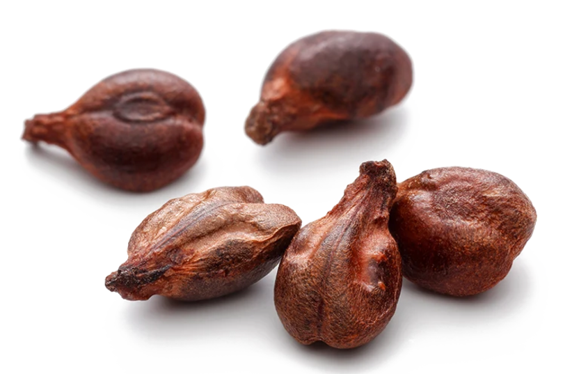  Grape pip seeds date back thousands of years. (credit: CREATIVE COMMONS)