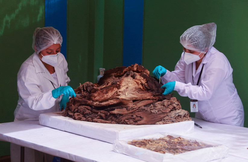 Archaeologists work on a 600-year-old funerary bundle with the remains of a mummy found by the Calidda company during excavations to install natural gas in Lima, Peru, April 26, 2023.  (credit: SEBASTIAN CASTANEDA/REUTERS)