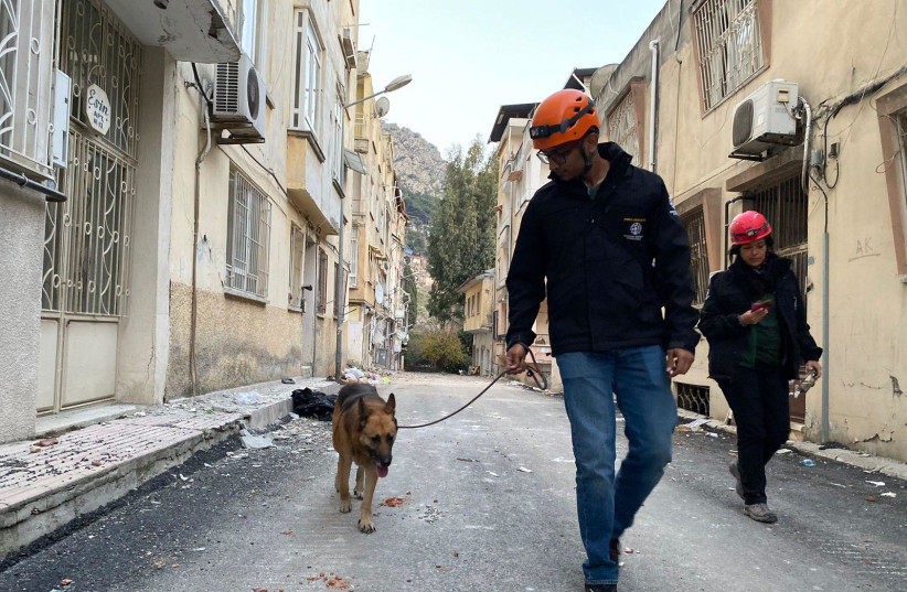 Humane Society International's animal disaster relief team at work in Antakya, Turkey after the earthquake, February 2023