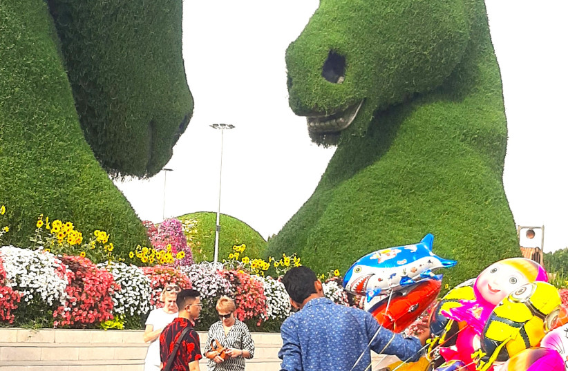  THIRTY-FOOT tall topiary in the shape of horses’ heads are among dozens of living sculptures at Dubai Miracle Garden. (credit: ARI BAR-OZ)