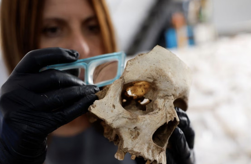  Archaeologist Veronica Alberto from Tibicena, an archaeology company, analyzes a human skull after being unearthed in a cave on the island of Gran Canaria, Spain (credit: REUTERS)