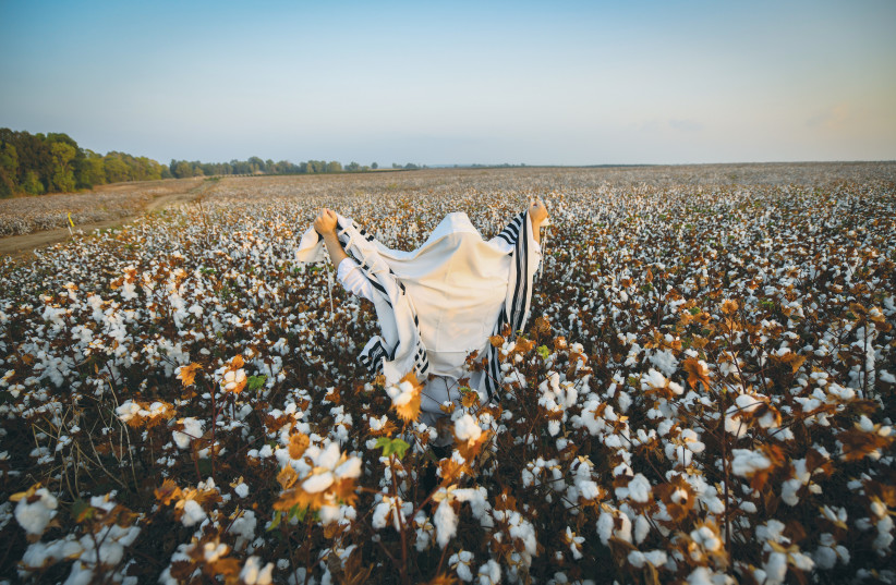  A MAN PRAYS in a cotton field at sunrise, at Kibbutz Hulda. Religious Zionists believe that while they must do their part, their actions will be successful only if they have God’s help.  (photo credit: MENDY HECHTMAN/FLASH90)