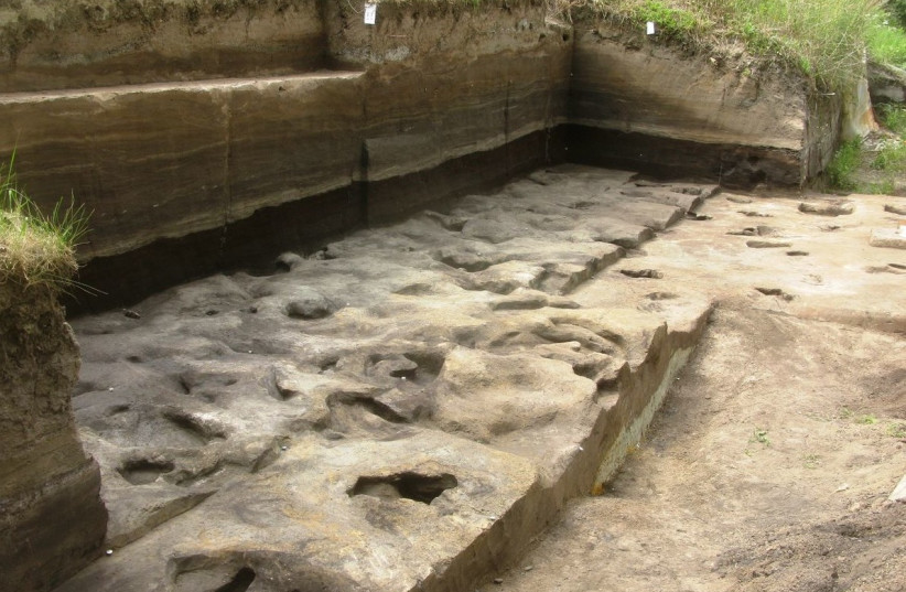 Fossil footprints from the site Schöningen 13 II-2 Untere Berme. (photo credit: UNIVERSITY OF TÜBINGEN)