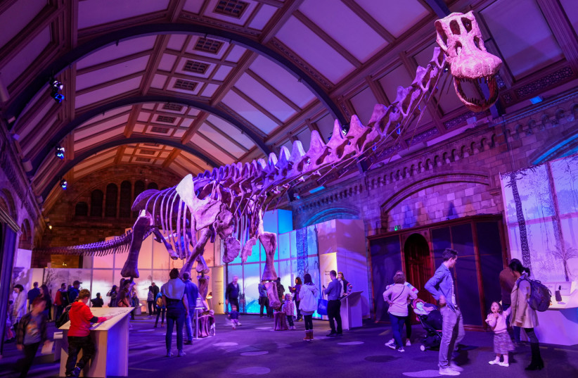  Museum visitors walk beneath the skeleton of Patagotitan mayorum as it goes on display as part of the new 'Titanosaur: Life as the Biggest Dinosaur' exhibit at Natural History Museum in London, Britain April 1, 2023. (photo credit: REUTERS/Maja Smiejkowska)