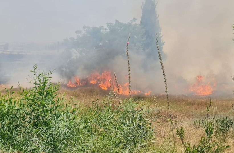  A view of the Ashkelon wildfire is seen on May 30, 2023 (credit: ASHKELON MUNICIPALITY)