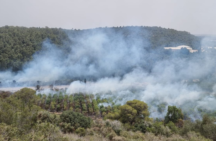  Forest fire in the Kerem Maharal moshav June 2, 2023. (credit: KKL-JNF)