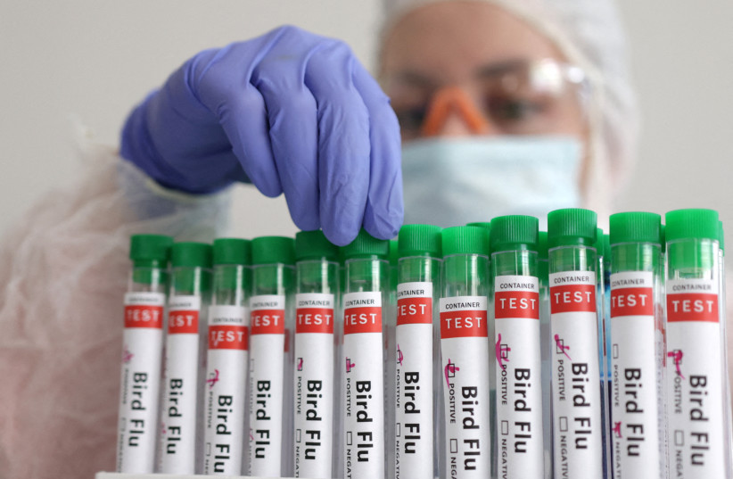  A person touches a test tube labelled ''Bird Flu'', in this picture illustration, January 14, 2023. (credit: DADO RUVIC/REUTERS ILLUSTRATION)