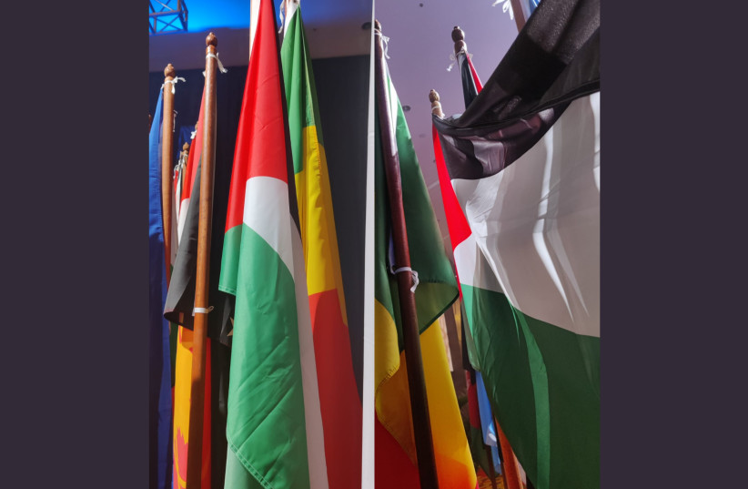  Flags at the International Confederation of Midwives' Congress in Bali (credit: Israel Midwives Association)